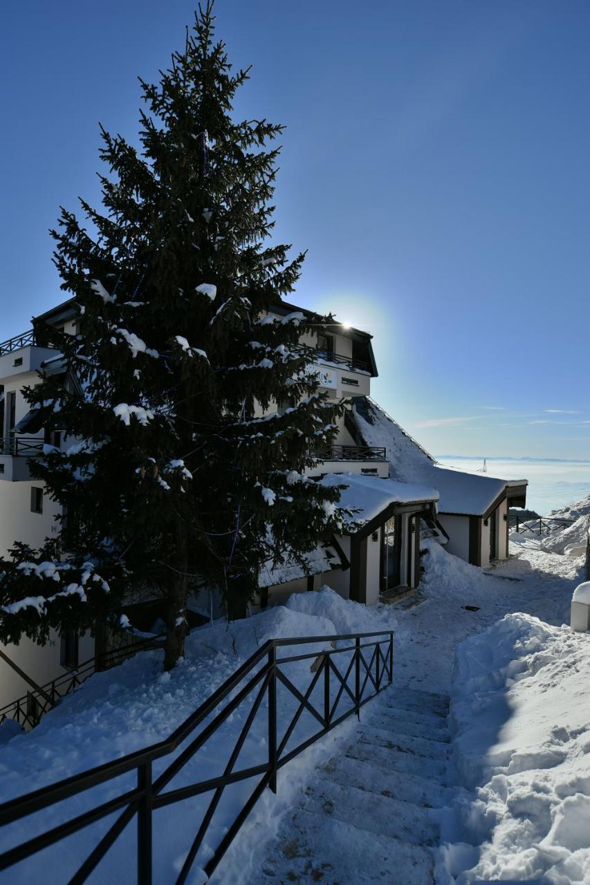 Apartman D52 Dvori Kopaonik Zewnętrze zdjęcie